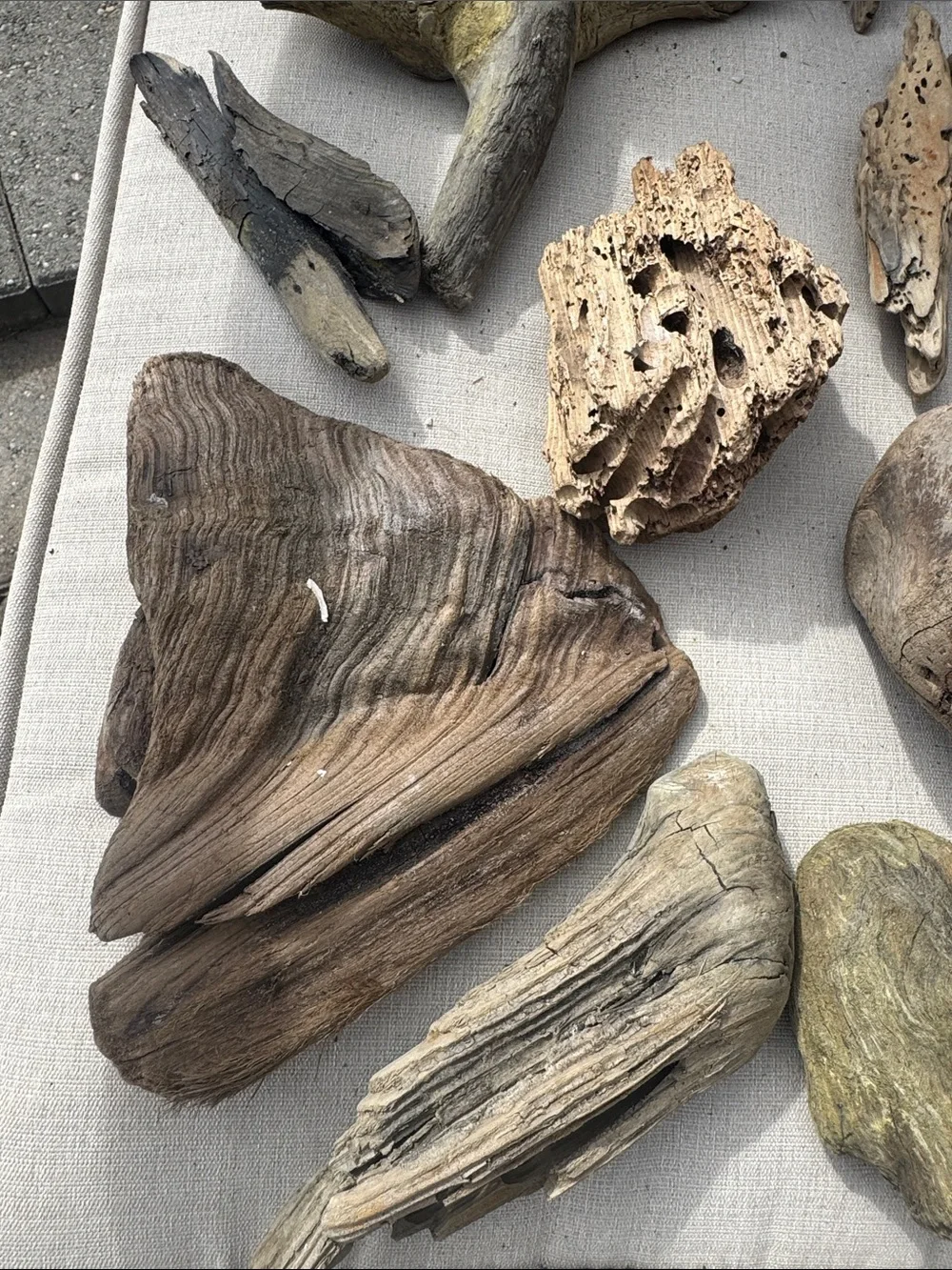 19 pc (5 lb shipped) Natural Driftwood for Craft, Projects, Upcycle& Decor